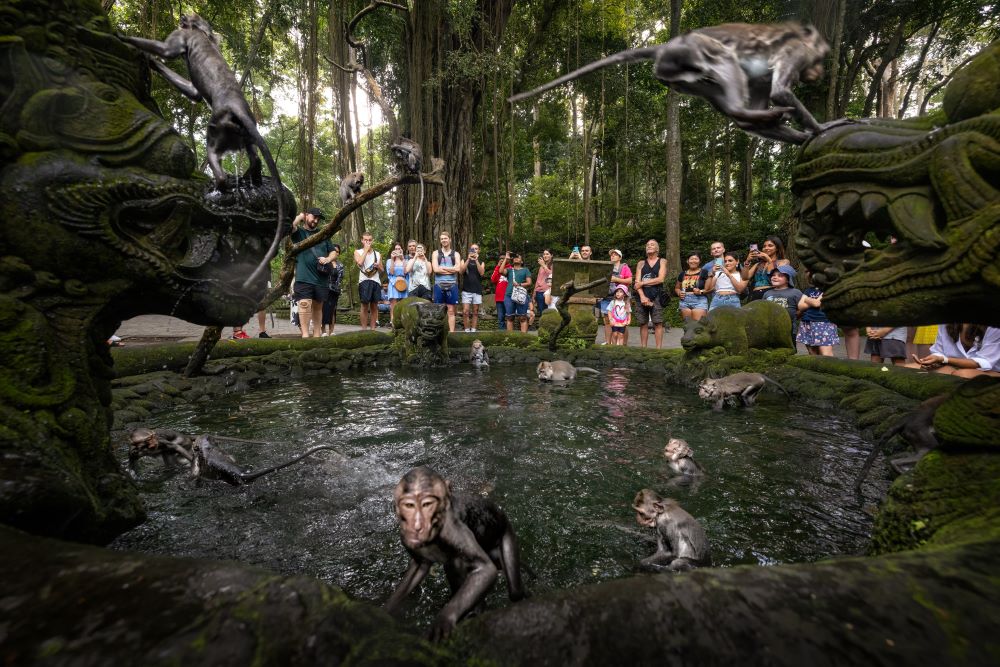 🐒 Sacred Monkey Forest Sanctuary